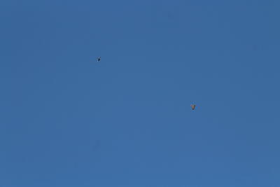2024:08:14 10:07:26